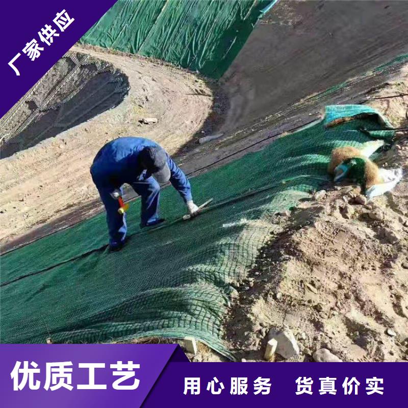 椰絲植生毯