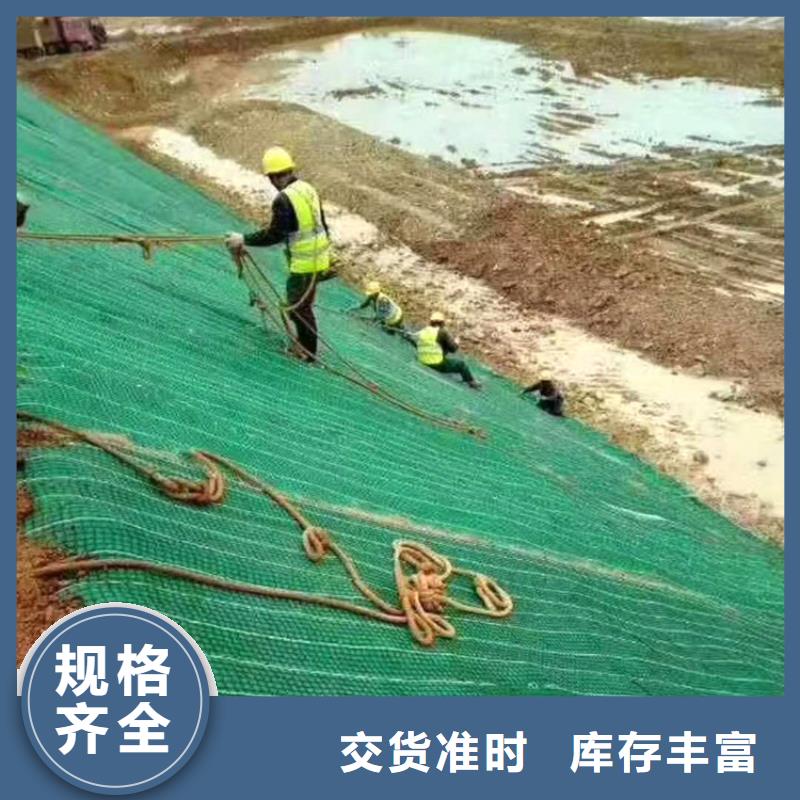 護坡椰絲植草毯植被毯