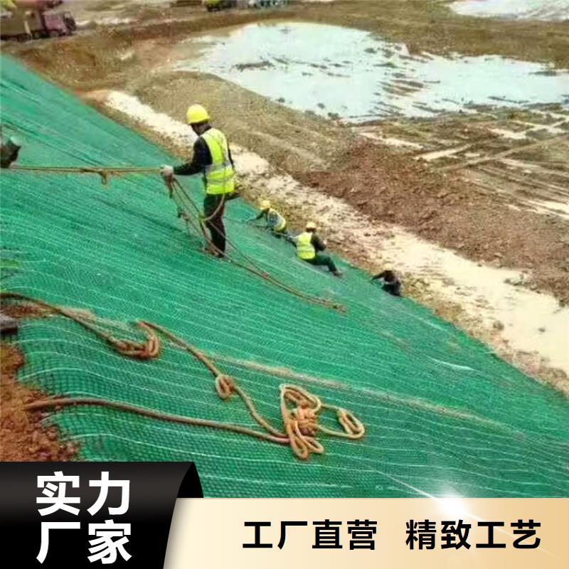土工格栅视频-土工格栅-广东省阳江市该地生产商-阳东|江城|云浮|中山|佛山|广州