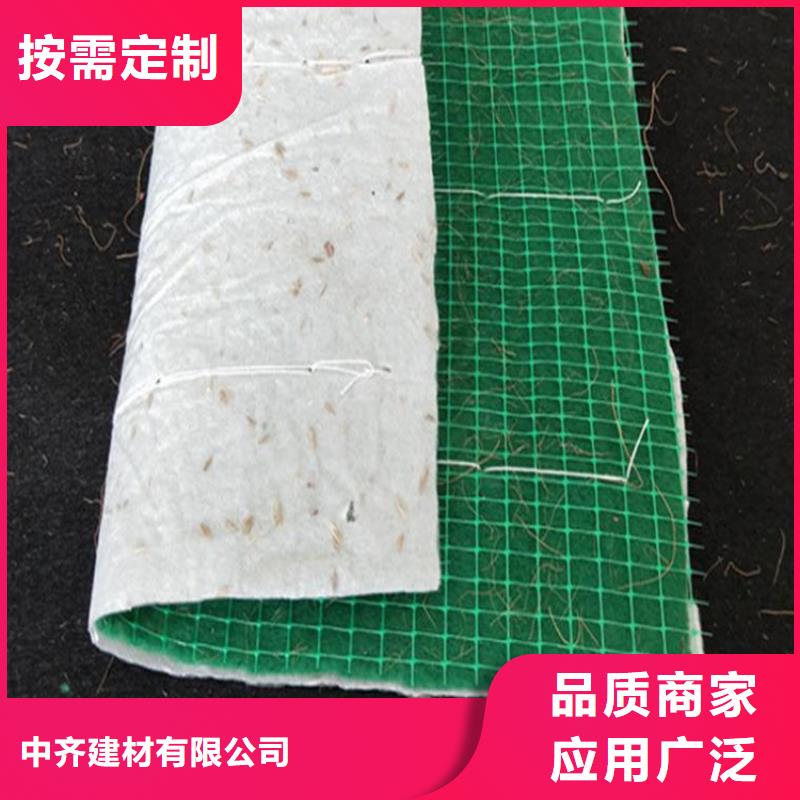 土工格栅视频-四川省自贡市中齐土工格栅可服务区域贡井|荣县|甘孜|阿坝|乐山|攀枝花|成都等