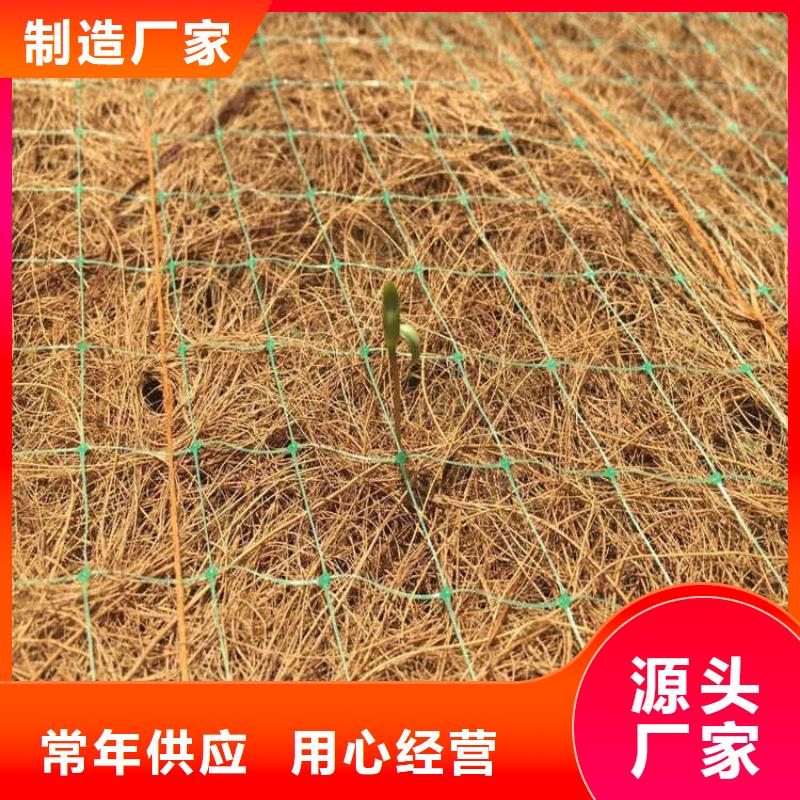 椰絲毯【鋼塑土工格柵】專注細節更放心