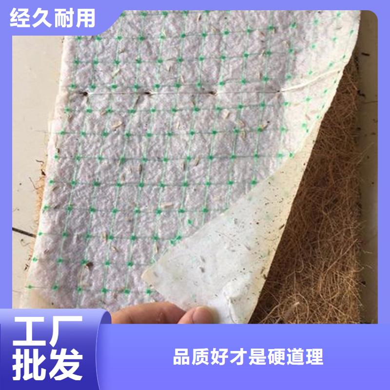 【椰絲毯】土工布品牌專營