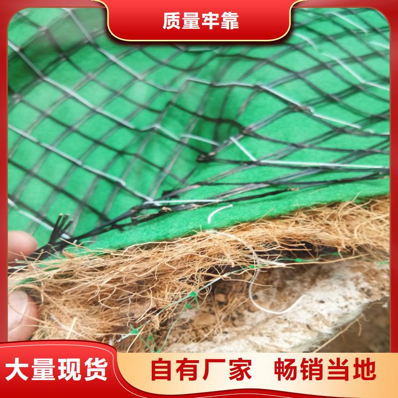 土工格栅视频-四川省自贡市中齐土工格栅可服务区域贡井|荣县|甘孜|阿坝|乐山|攀枝花|成都等