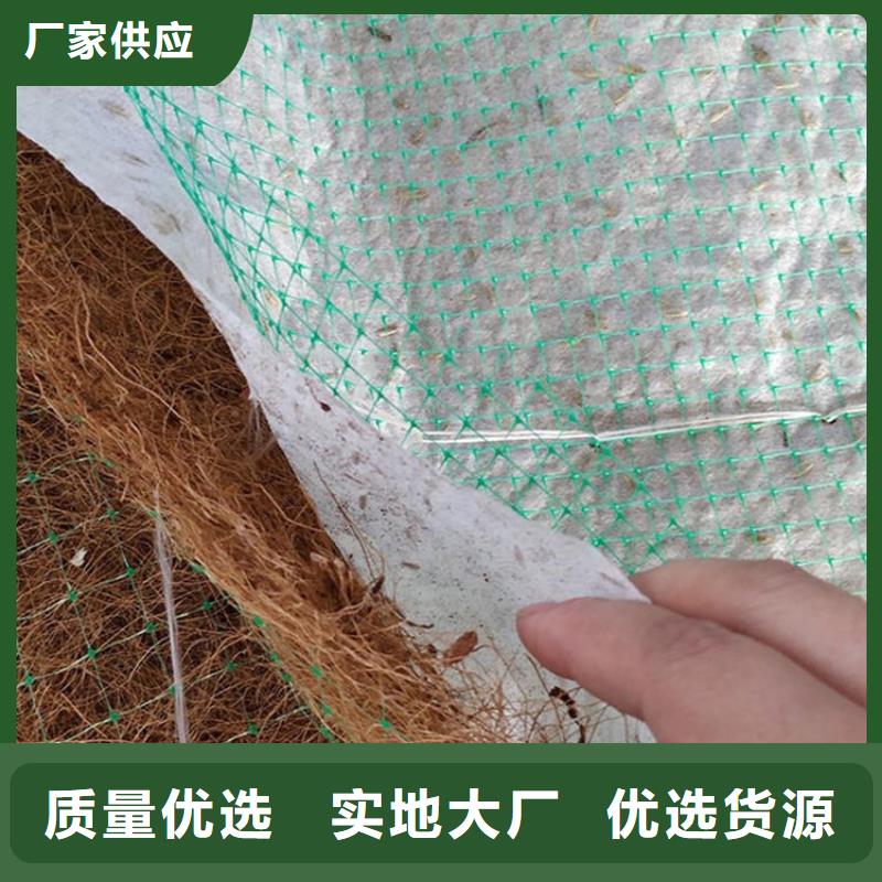 【椰絲毯】土工布品牌專營