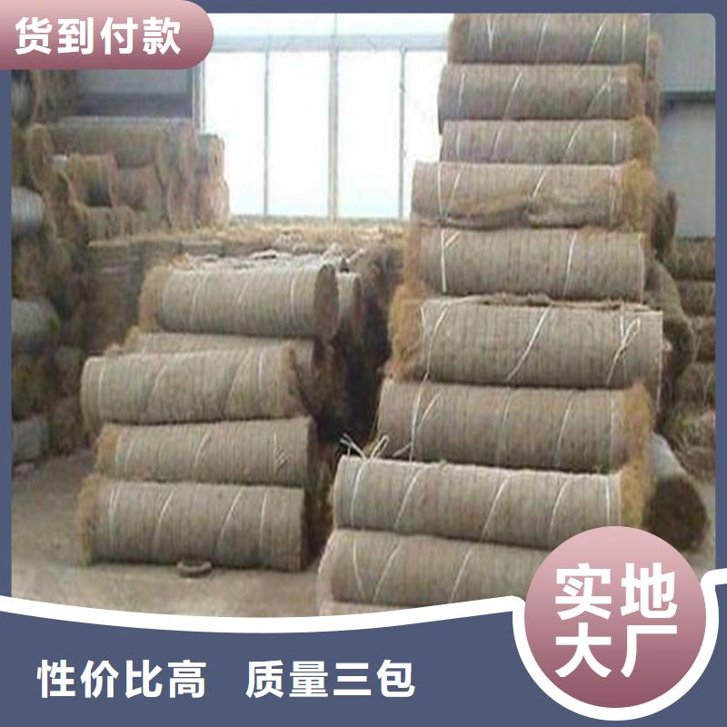 生態植物防護毯護坡植被植草毯
