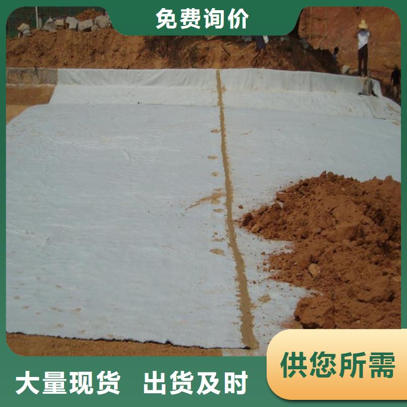 鈉基膨潤土防水毯