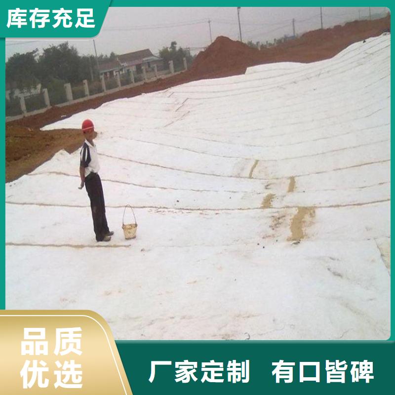 膨润土防水毯土工布量大从优
