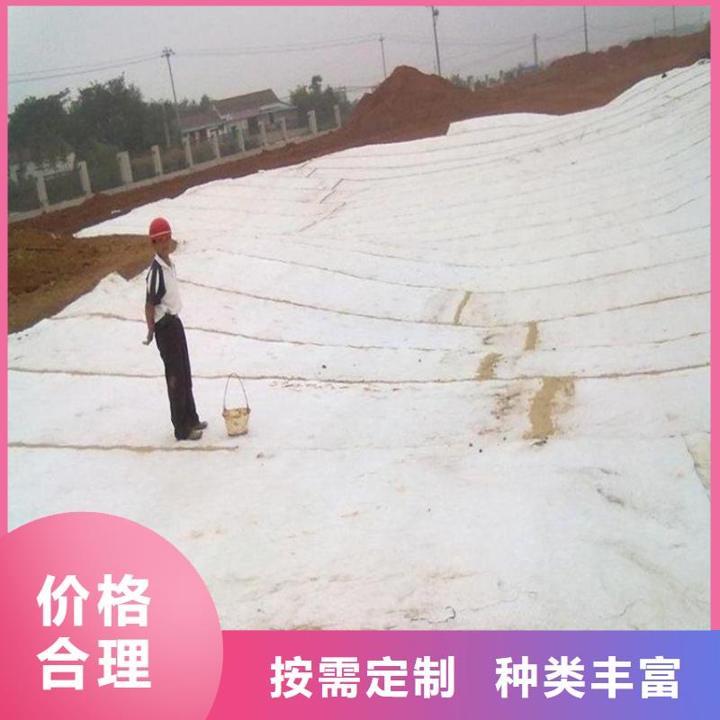 膨潤土防水毯復合土工膜支持定制加工