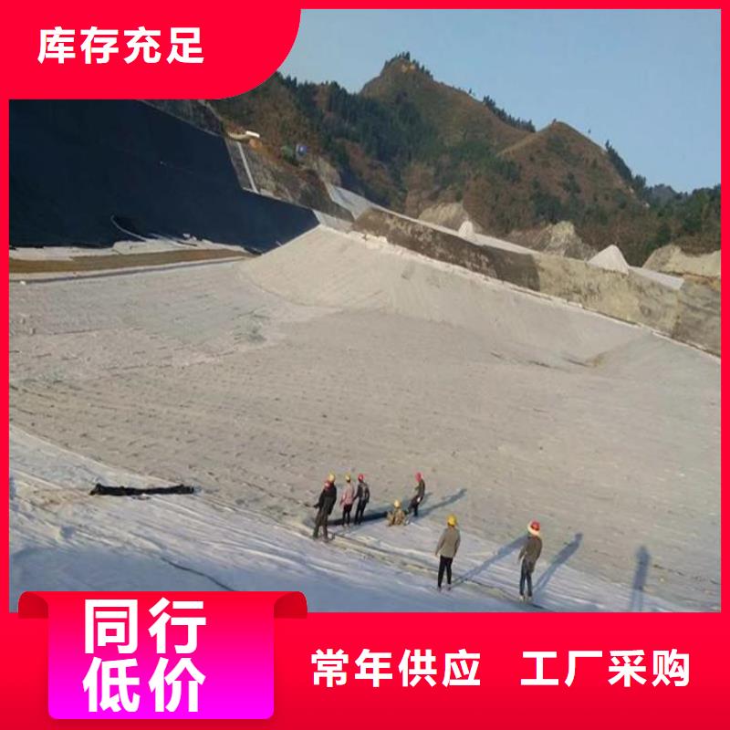 膨潤土防水毯土工布量大從優(yōu)