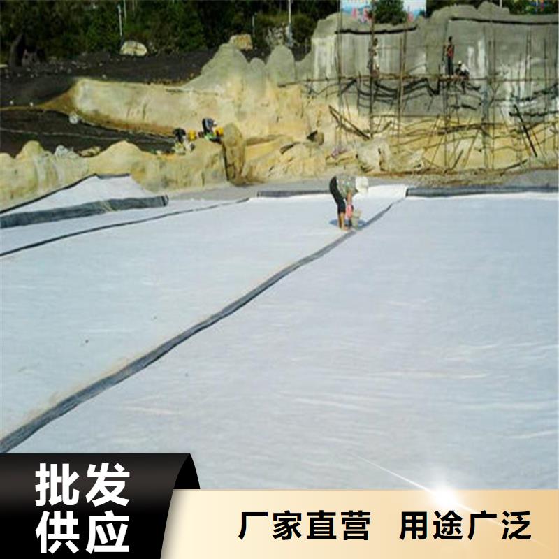 垃圾場(chǎng)膨潤(rùn)土防水毯可定制加工