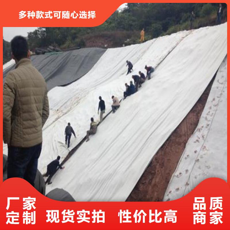 5500g鈉基膨潤土防水墊