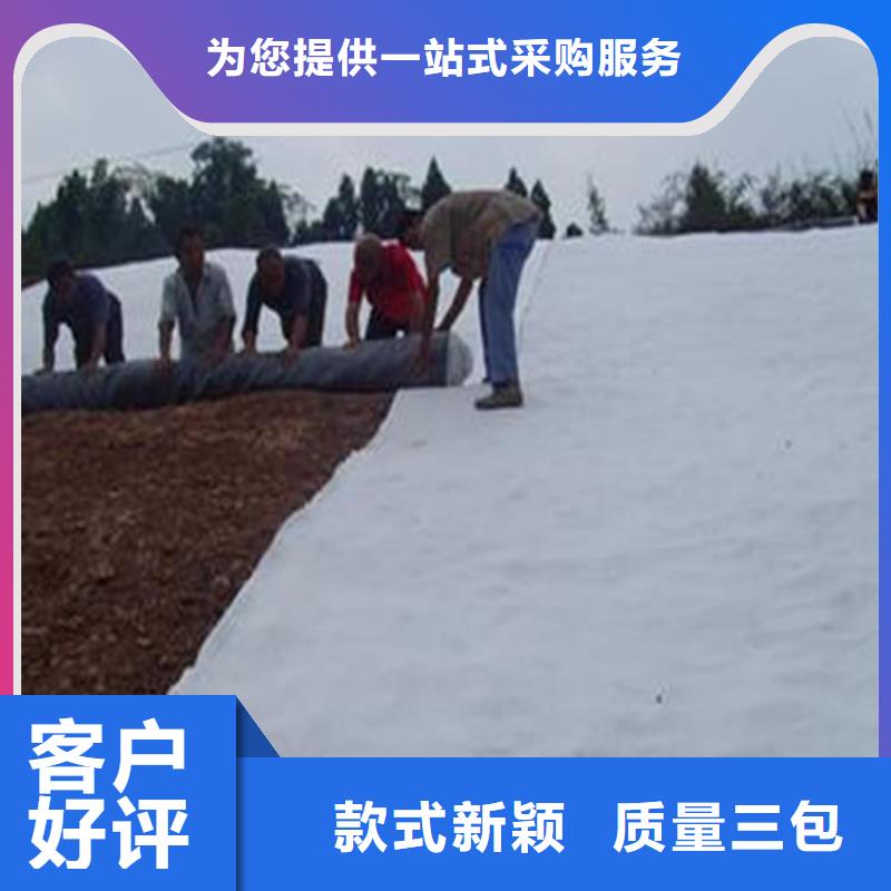 膨潤(rùn)土防水毯