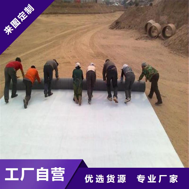 膨潤土防水毯-土工膜匠心品質