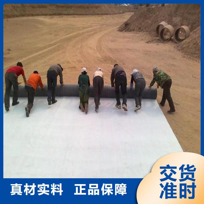 膨潤土防水毯土工膜價格地道