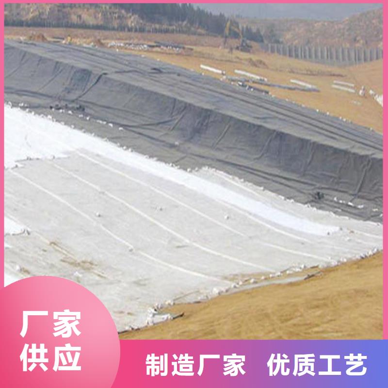 膨潤土防水毯生態(tài)帶專心專注專業(yè)