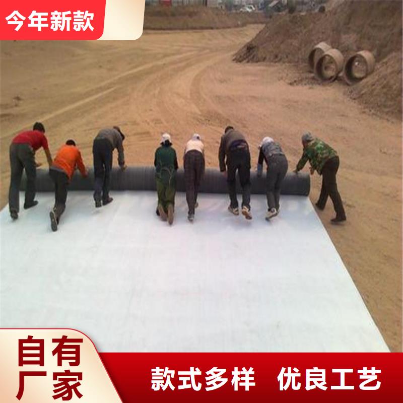 膨潤土復合防水墊GCL公司產銷一體
