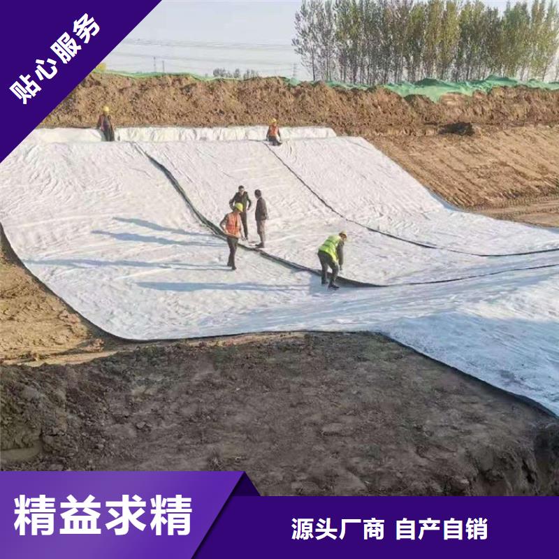 土工格栅视频-土工格栅-中齐建材(郑州市分公司)服务区域荥阳|登封|新乡|濮阳|周口|平顶山|鹤壁|信阳