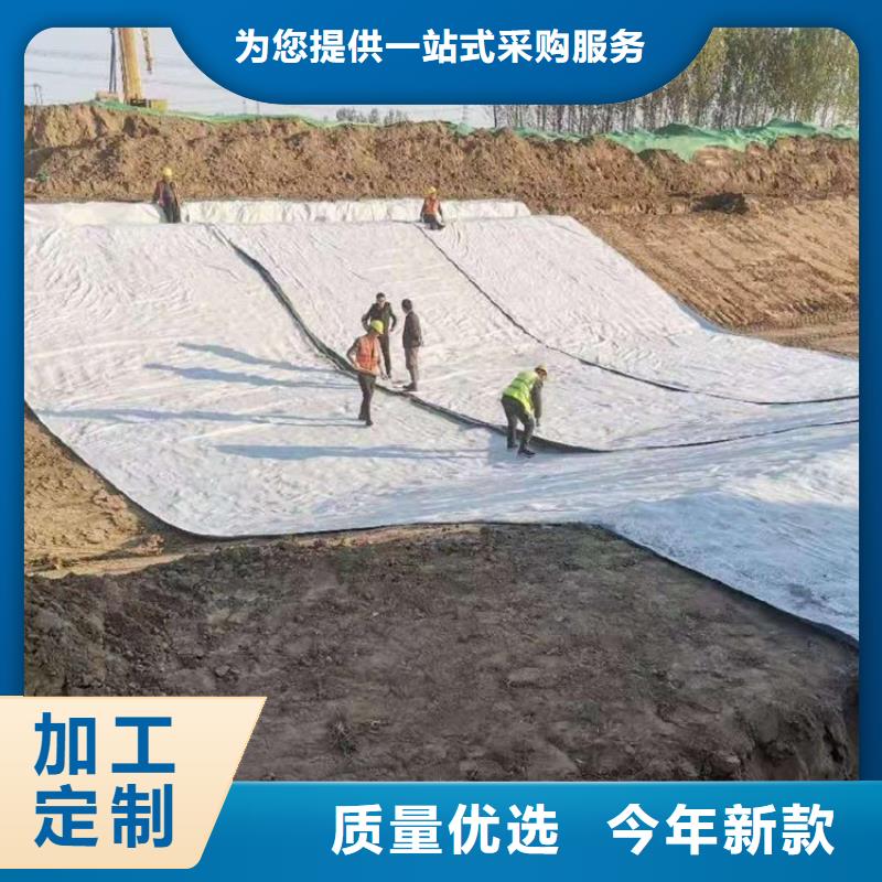 膨润土防水毯土工布量大从优
