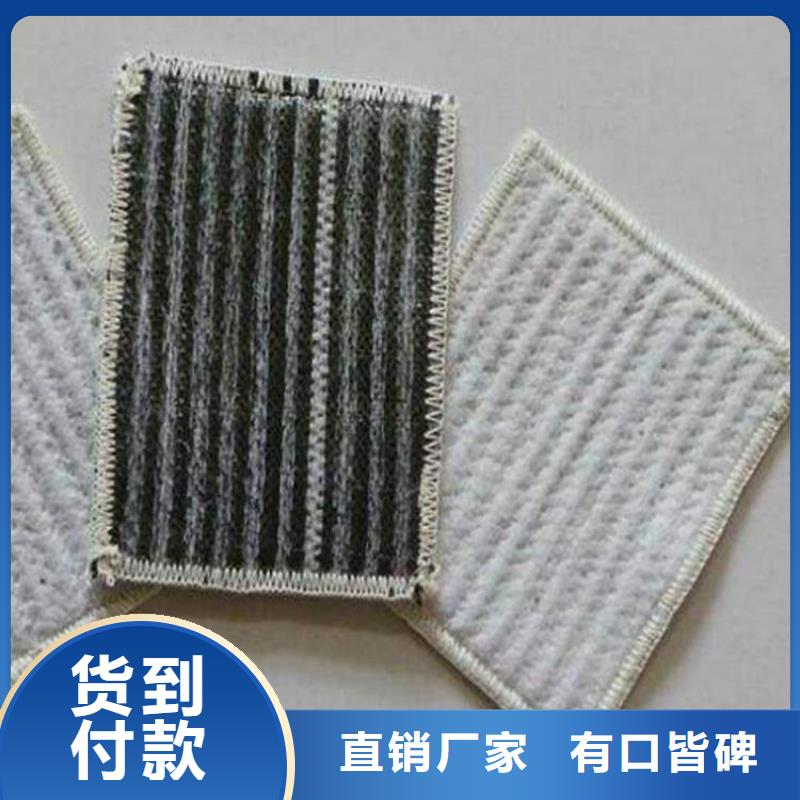 垃圾場(chǎng)膨潤(rùn)土防水毯可定制加工