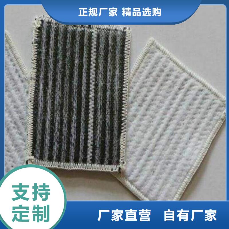 膨润土防水毯土工布量大从优