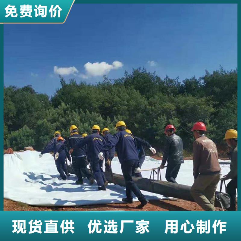 膨潤土防水毯GCL廠家批發(fā)