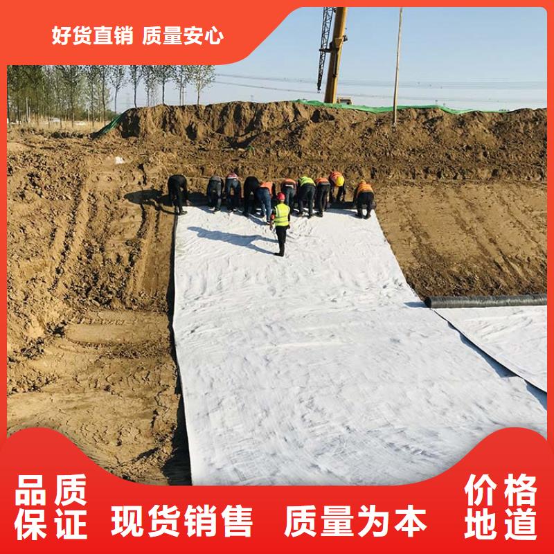 鈉基膨潤土防水毯