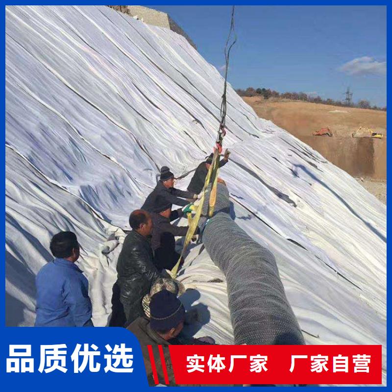 3000g鈉基膨潤土防水毯