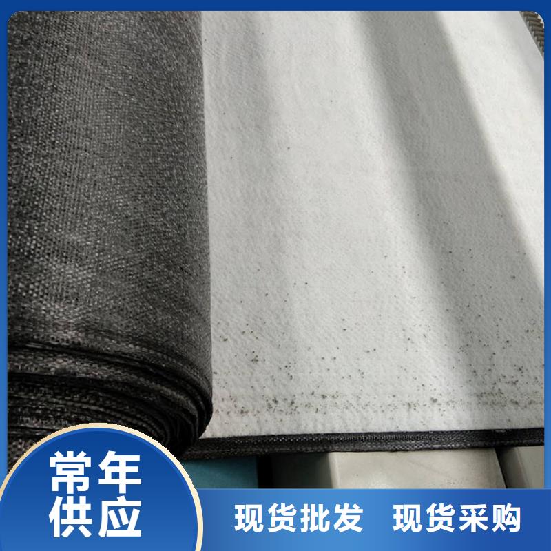 膨潤土防水毯土工布量大從優(yōu)