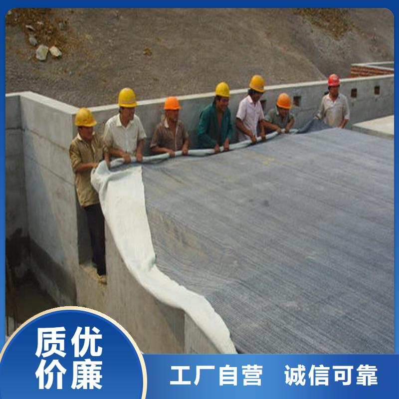 【膨潤土防水毯】_短纖無紡土工布暢銷本地