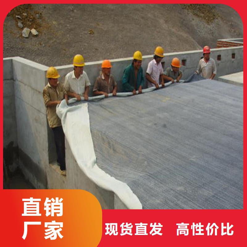 鈉基膨潤土防水毯4800g天然鈉基防水墊