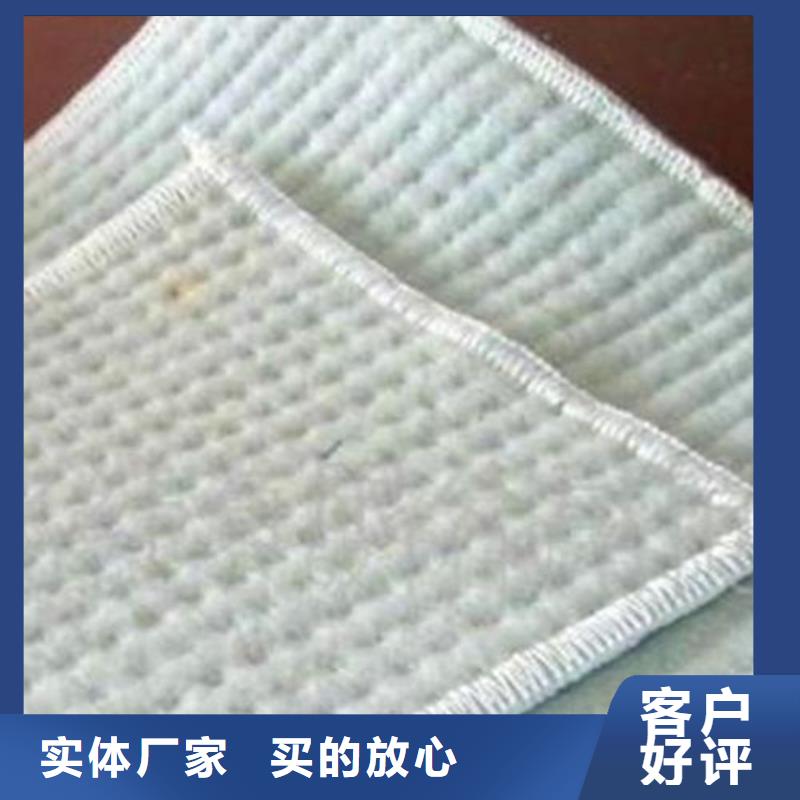 膨潤土防水毯生態(tài)帶專心專注專業(yè)