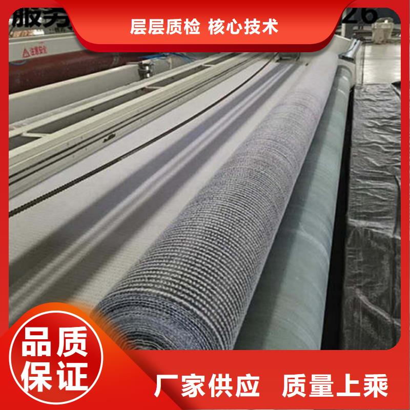 膨潤土防水毯生態(tài)帶專心專注專業(yè)