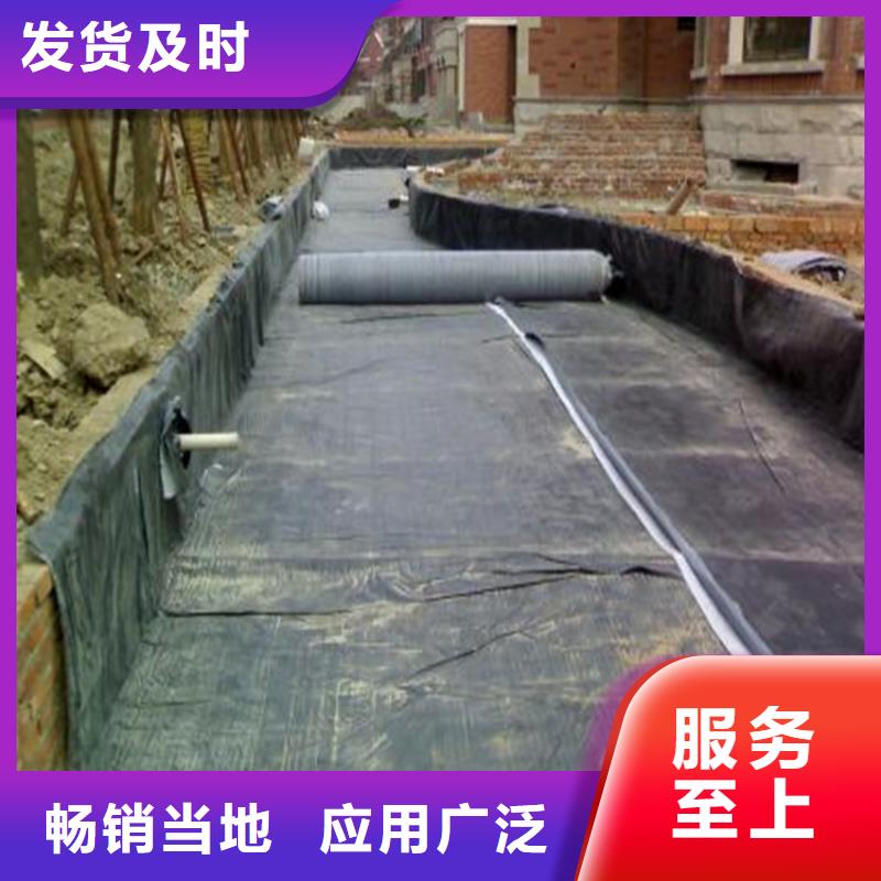 膨潤土防水毯生態(tài)帶專心專注專業(yè)
