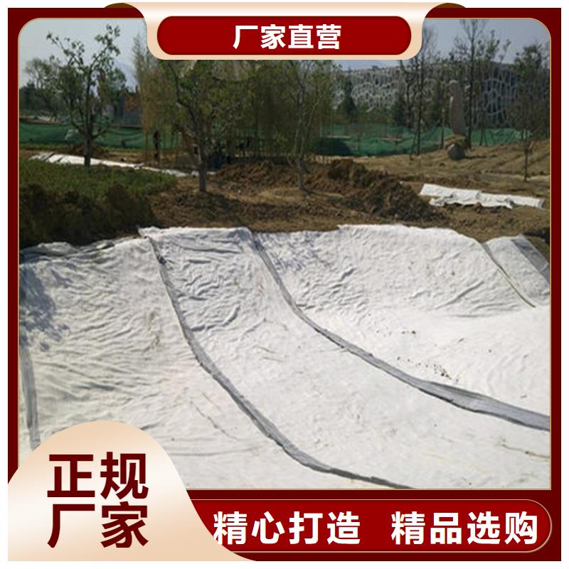 覆膜膨潤(rùn)土防水毯8mm防滲襯墊GCL