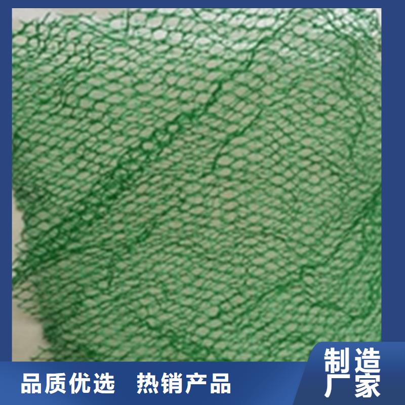 綠化固土三維固土網(wǎng)墊