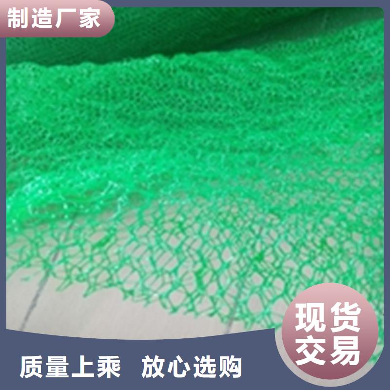 加筋固土三維植被網