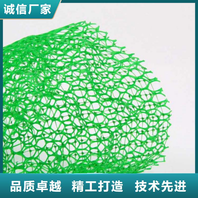 【 三维植被网_塑料玻纤格栅用心做好每一件产品】-中齐建材(大庆市分公司)-勺子互联