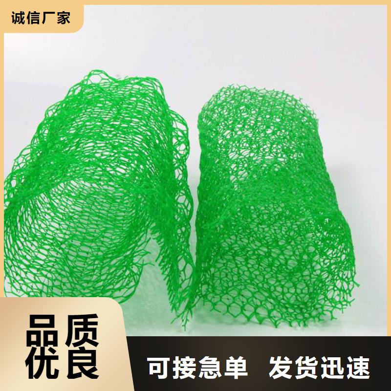 三維植被網(wǎng)-土工膜貼心服務