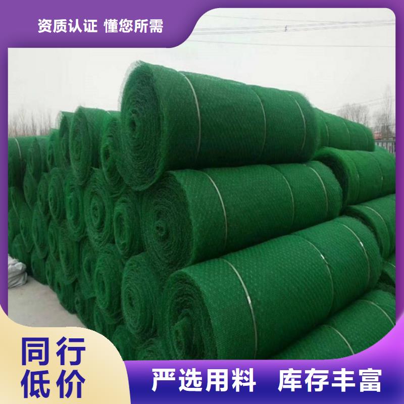 【 三维植被网_塑料玻纤格栅用心做好每一件产品】-中齐建材(大庆市分公司)-勺子互联