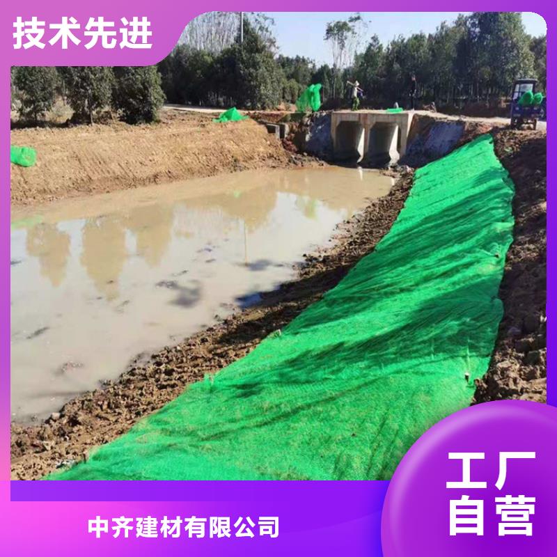 三維植被網(wǎng)_礦用格柵廠家經(jīng)驗豐富