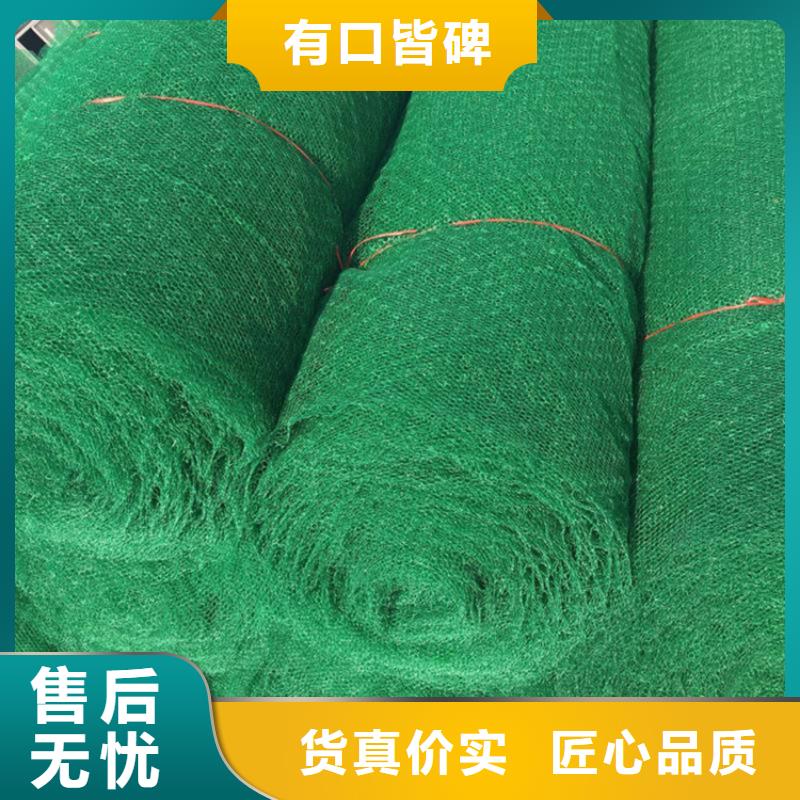東方市草皮固土三維固土網(wǎng)墊