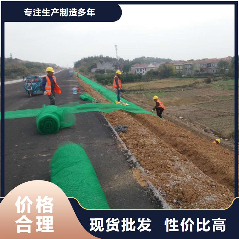 環保固土三維植被網
