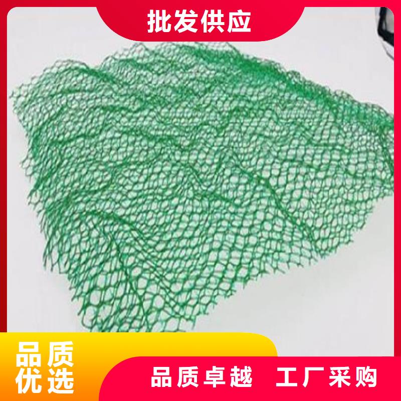 環保固土三維植被網
