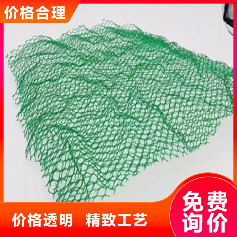 【 三维植被网_塑料玻纤格栅用心做好每一件产品】-中齐建材(大庆市分公司)-勺子互联