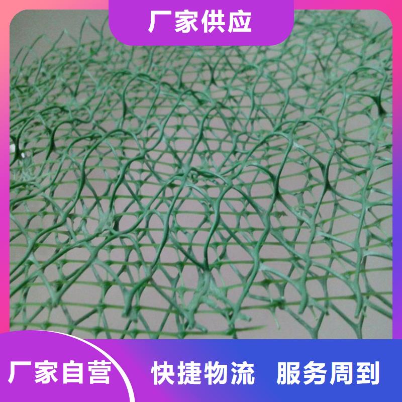 邊坡環保三維植被網