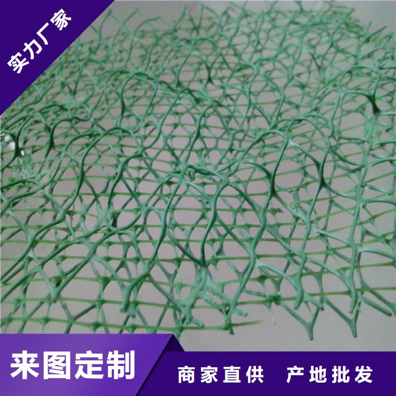 【 三维植被网_塑料玻纤格栅用心做好每一件产品】-中齐建材(大庆市分公司)-勺子互联