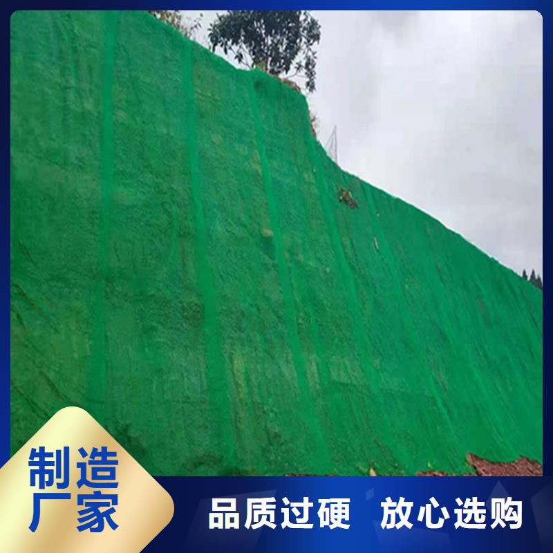 中齐土工格栅【 三维植被网_HDPE土工膜您身边的厂家】sz5e.com