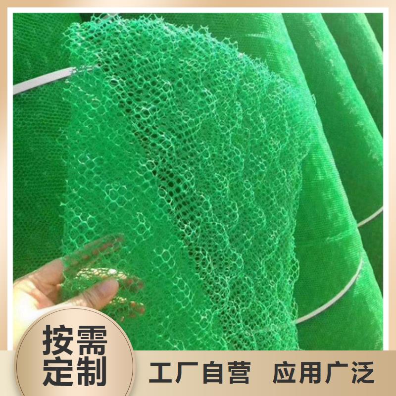 環保固土三維植被網