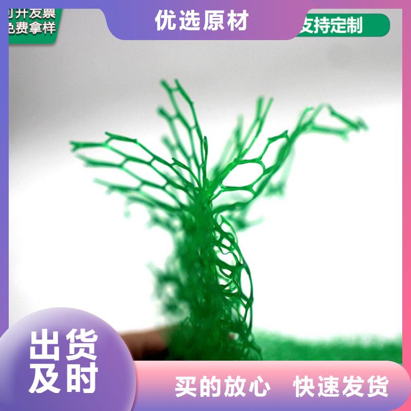 【 三维植被网_塑料玻纤格栅用心做好每一件产品】-中齐建材(大庆市分公司)-勺子互联