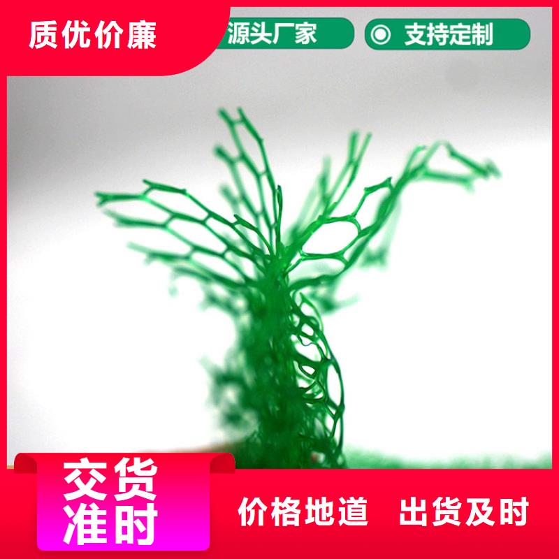 三維植被網_土工布符合標準